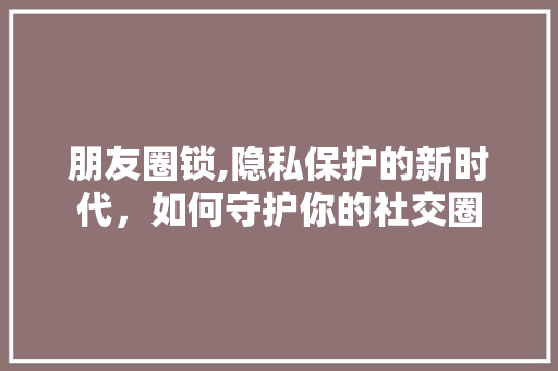 朋友圈锁,隐私保护的新时代，如何守护你的社交圈
