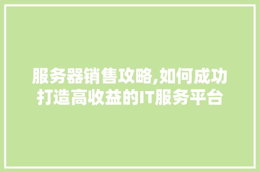 服务器销售攻略,如何成功打造高收益的IT服务平台