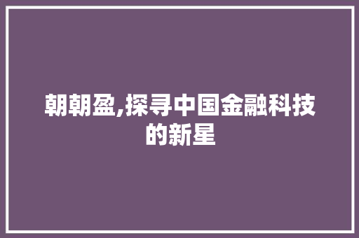 朝朝盈,探寻中国金融科技的新星