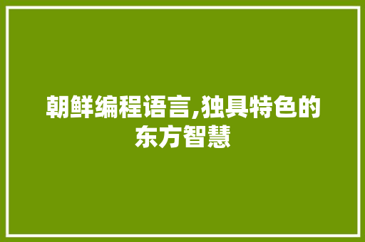 朝鲜编程语言,独具特色的东方智慧