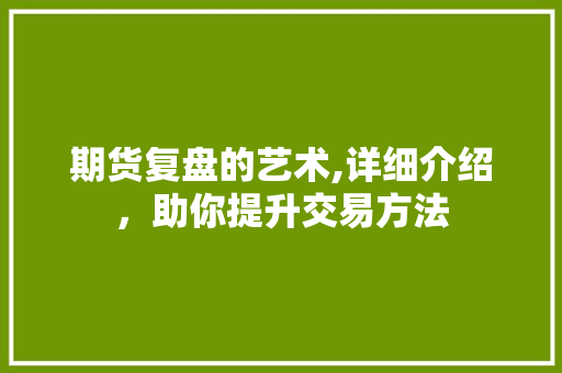 期货复盘的艺术,详细介绍，助你提升交易方法