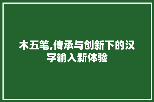 木五笔,传承与创新下的汉字输入新体验