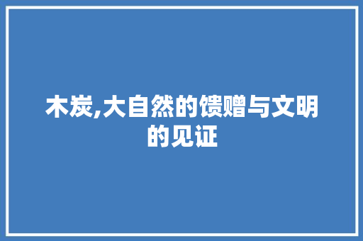 木炭,大自然的馈赠与文明的见证