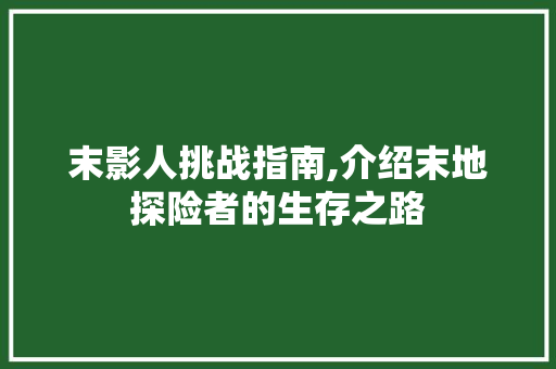 末影人挑战指南,介绍末地探险者的生存之路 建站教程