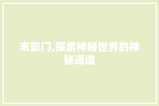 末影门,探索神秘世界的神秘通道 Web前端