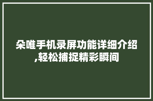 朵唯手机录屏功能详细介绍,轻松捕捉精彩瞬间 服务器/数据库