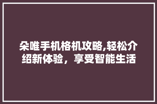 朵唯手机格机攻略,轻松介绍新体验，享受智能生活 Web前端