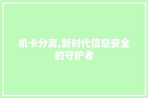 机卡分离,新时代信息安全的守护者