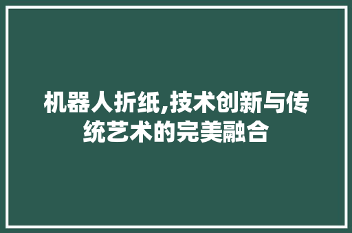 机器人折纸,技术创新与传统艺术的完美融合