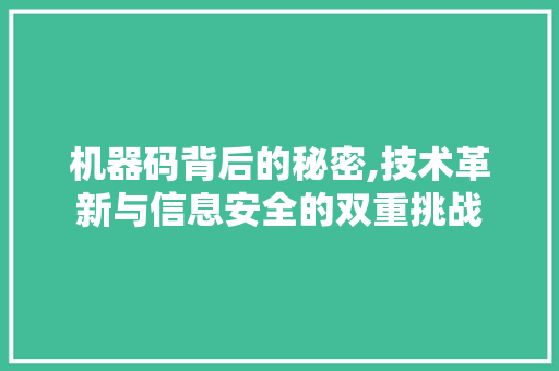 机器码背后的秘密,技术革新与信息安全的双重挑战