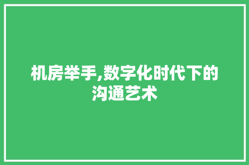 机房举手,数字化时代下的沟通艺术 WordPress教程