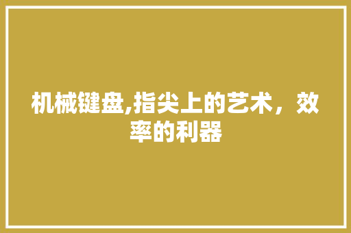 机械键盘,指尖上的艺术，效率的利器