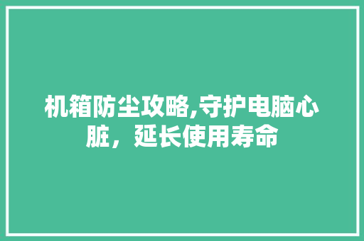 机箱防尘攻略,守护电脑心脏，延长使用寿命 Web前端