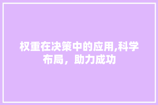 权重在决策中的应用,科学布局，助力成功 友链在线