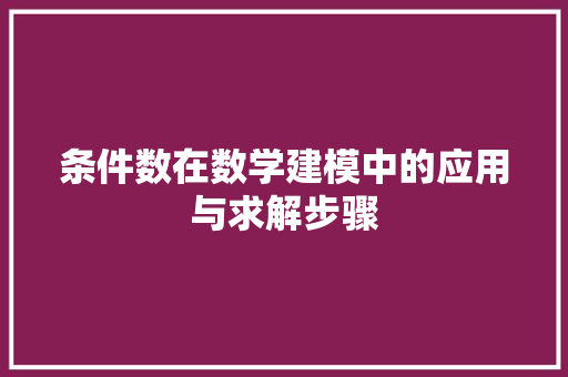 条件数在数学建模中的应用与求解步骤