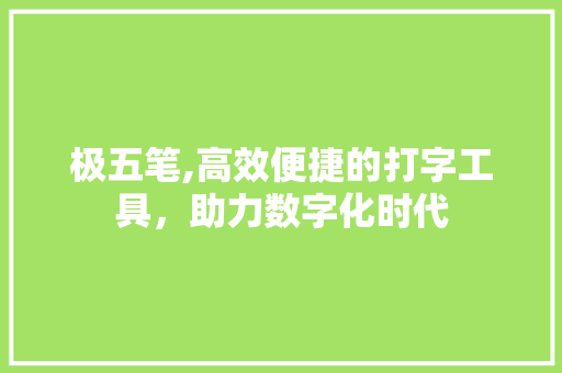 极五笔,高效便捷的打字工具，助力数字化时代