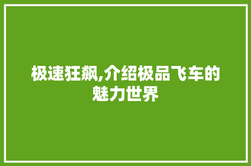 极速狂飙,介绍极品飞车的魅力世界