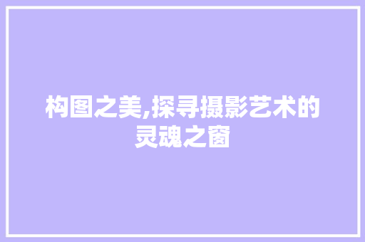 构图之美,探寻摄影艺术的灵魂之窗