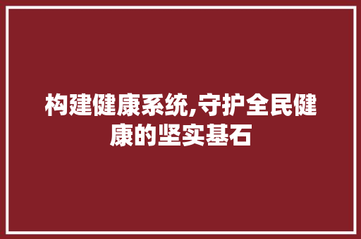构建健康系统,守护全民健康的坚实基石