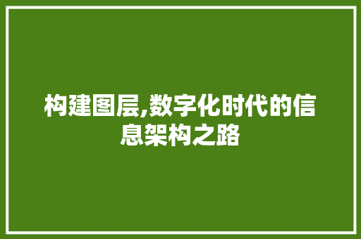 构建图层,数字化时代的信息架构之路 友链在线