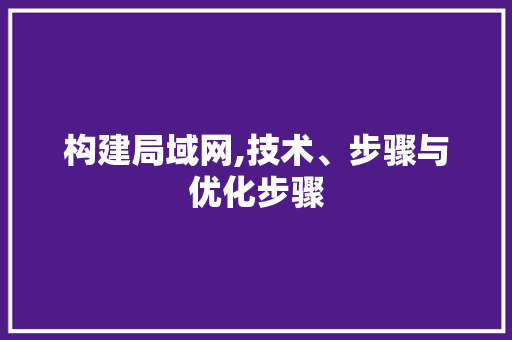 构建局域网,技术、步骤与优化步骤 建站教程