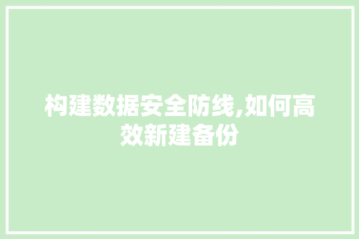 构建数据安全防线,如何高效新建备份