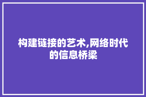 构建链接的艺术,网络时代的信息桥梁