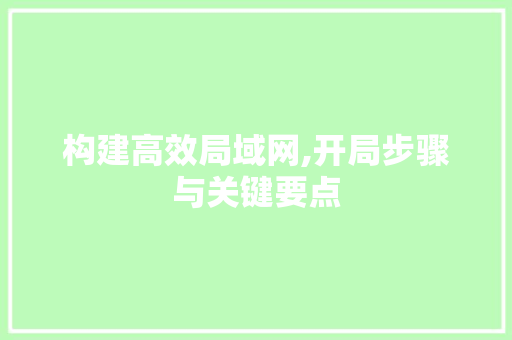 构建高效局域网,开局步骤与关键要点