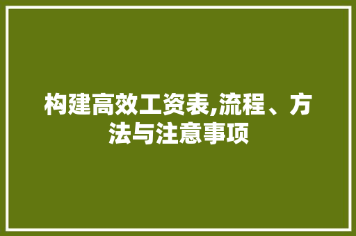 构建高效工资表,流程、方法与注意事项 WordPress教程