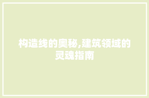 构造线的奥秘,建筑领域的灵魂指南 建站教程