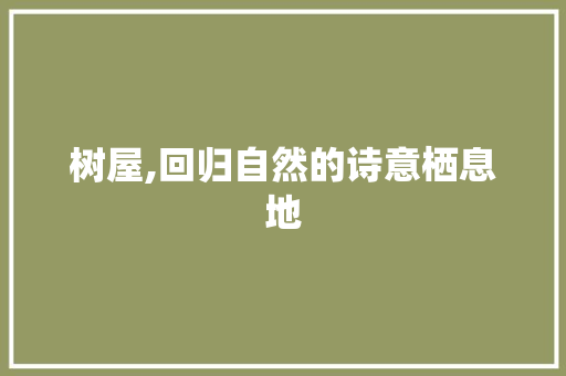 树屋,回归自然的诗意栖息地