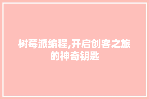 树莓派编程,开启创客之旅的神奇钥匙 SEO教程