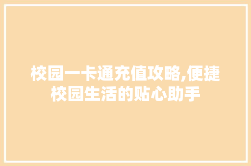 校园一卡通充值攻略,便捷校园生活的贴心助手