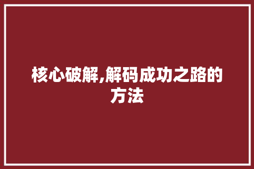 核心破解,解码成功之路的方法 Web前端