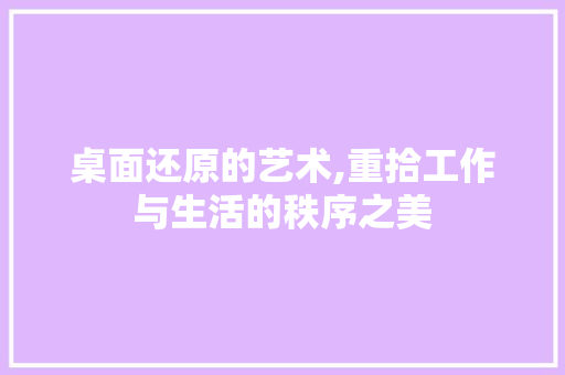 桌面还原的艺术,重拾工作与生活的秩序之美