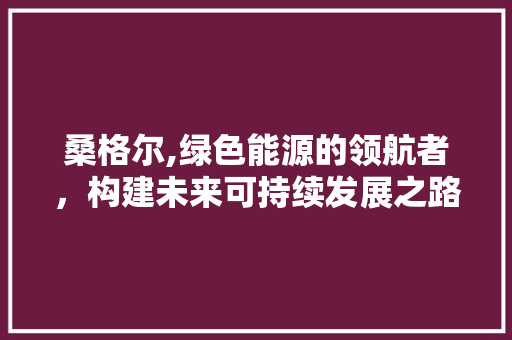 桑格尔,绿色能源的领航者，构建未来可持续发展之路 服务器/数据库