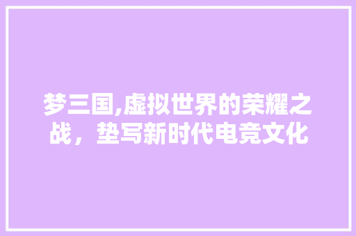 梦三国,虚拟世界的荣耀之战，垫写新时代电竞文化 WordPress教程