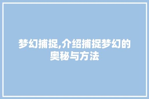 梦幻捕捉,介绍捕捉梦幻的奥秘与方法 WordPress教程