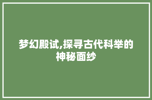 梦幻殿试,探寻古代科举的神秘面纱