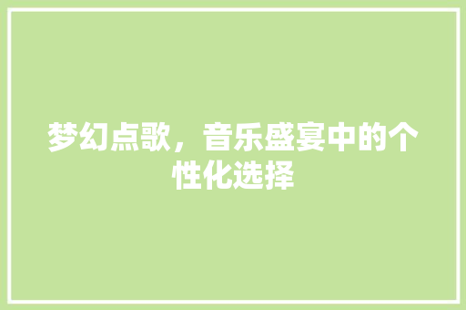 梦幻点歌，音乐盛宴中的个性化选择