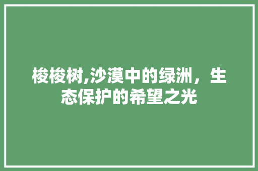 梭梭树,沙漠中的绿洲，生态保护的希望之光