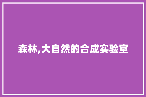 森林,大自然的合成实验室