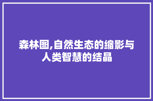 森林图,自然生态的缩影与人类智慧的结晶