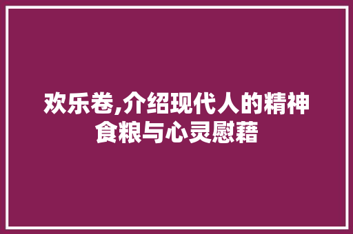 欢乐卷,介绍现代人的精神食粮与心灵慰藉 WordPress教程