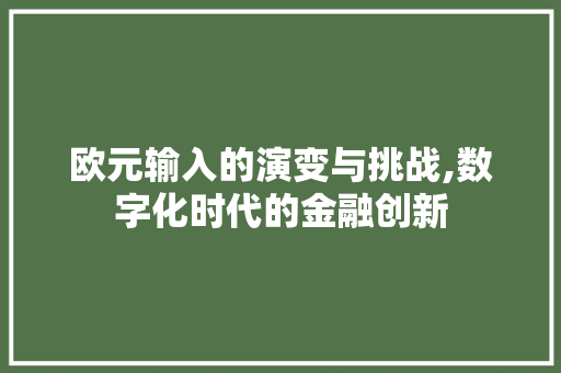 欧元输入的演变与挑战,数字化时代的金融创新 WordPress教程