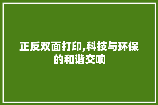 正反双面打印,科技与环保的和谐交响
