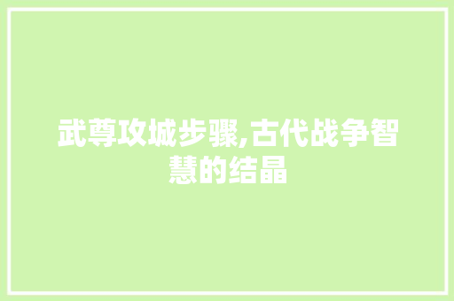武尊攻城步骤,古代战争智慧的结晶 WordPress教程