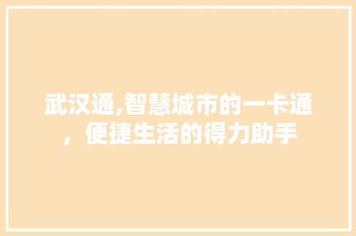 武汉通,智慧城市的一卡通，便捷生活的得力助手 服务器/数据库
