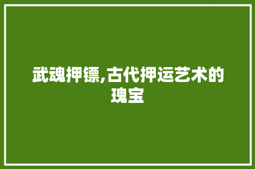 武魂押镖,古代押运艺术的瑰宝 WordPress教程