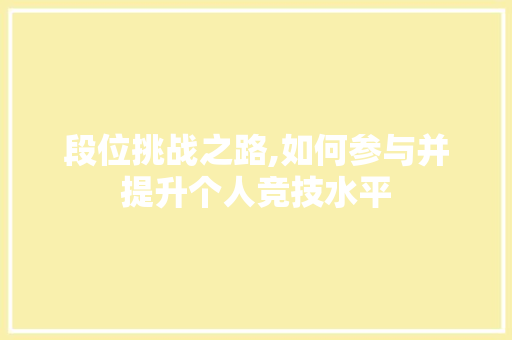 段位挑战之路,如何参与并提升个人竞技水平